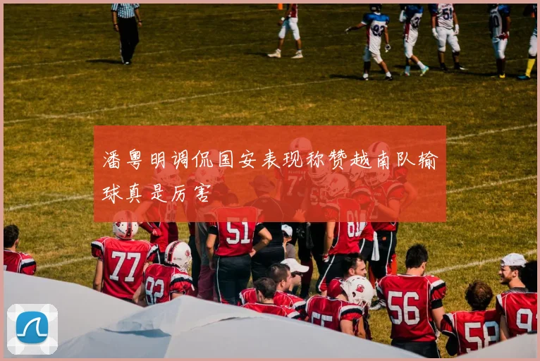 潘粤明调侃国安表现称赞越南队输球真是厉害