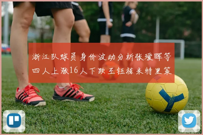 浙江队球员身价波动分析张瑷晖等四人上涨16人下跌王钰栋米特里策保持不变