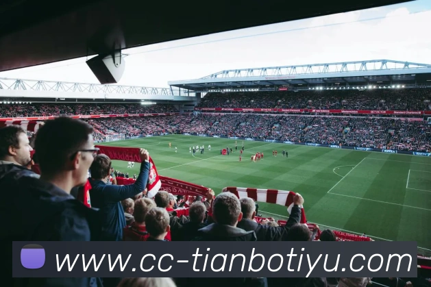 多媒体互动体验