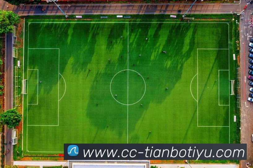 天博体育APP 高清赛事图